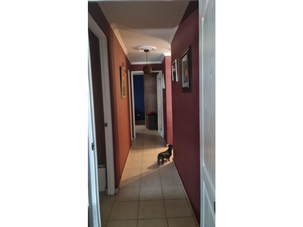 SE VENDE LINDO APARTAMENTO EN PH EL MARQUÉZ — foto 6