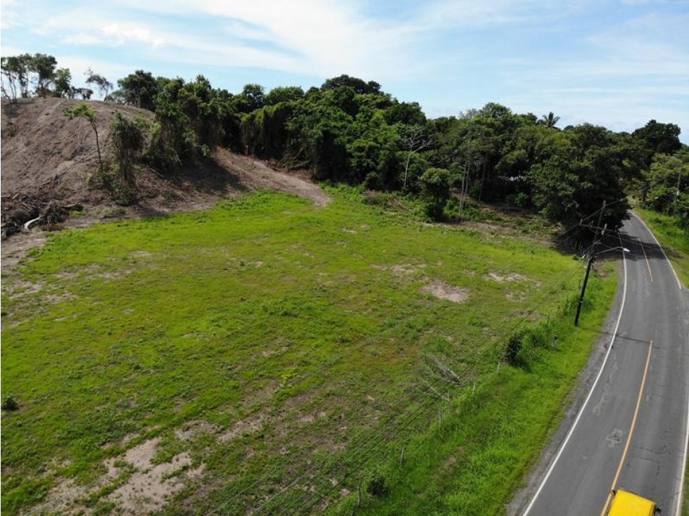 SE VENDE TERRENO EN ESPINO DE SAN CARLOS - 6