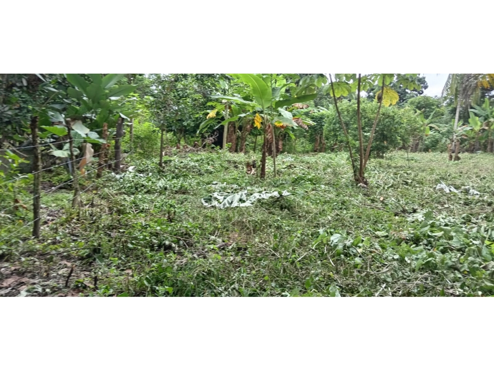 Venta de Terreno en Baru - 6