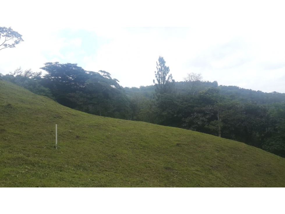 VENDO TERRENO CERRADO EN CERRO AZUL $126000!!!! — foto 6