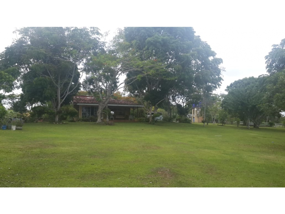 VENDO FINCA DE 18 HECTAREAS EN CERRO CAMA - PANAMA OESTE!!! - 6