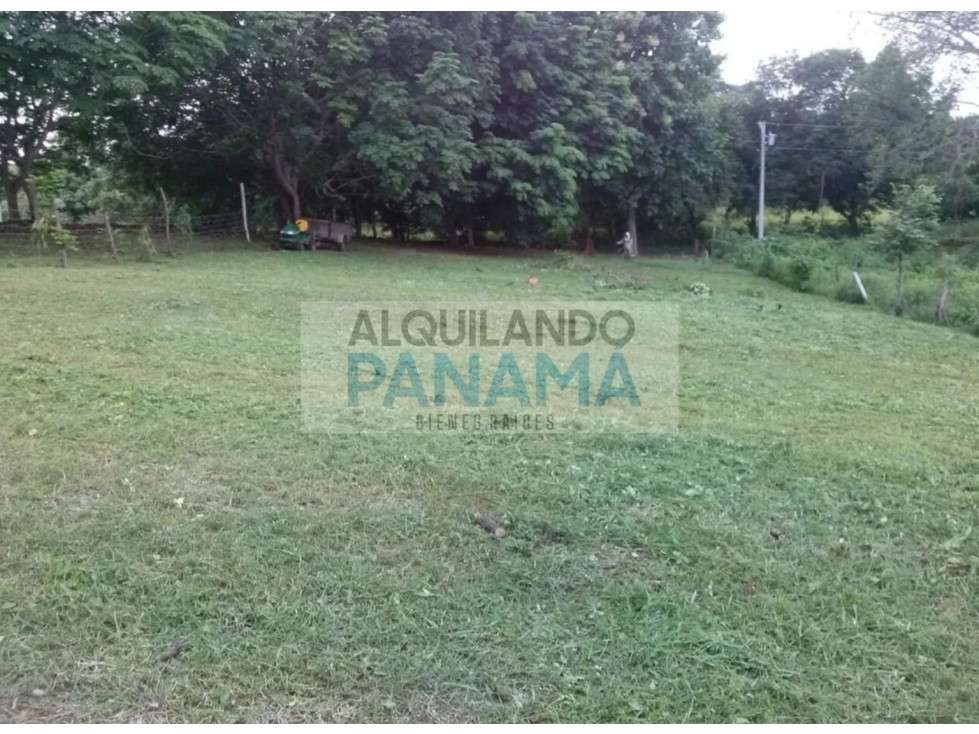 VENTA DE TERRENO EN CHAME — foto 5