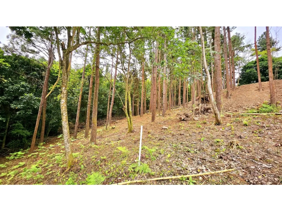 VENDO TERRENO EN ALTOS DEL MARIA - CHAME $77.100!!! - 6