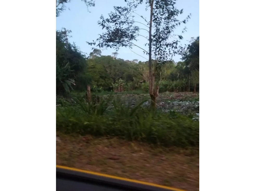 VENDO APLIO TERRENO SUPER FERTIL DE 17 mil metros $51500!!! - 6