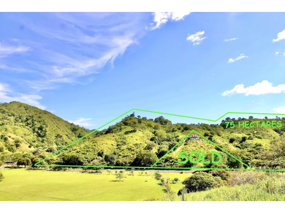 Se vende terreno en Tonosí — foto 6