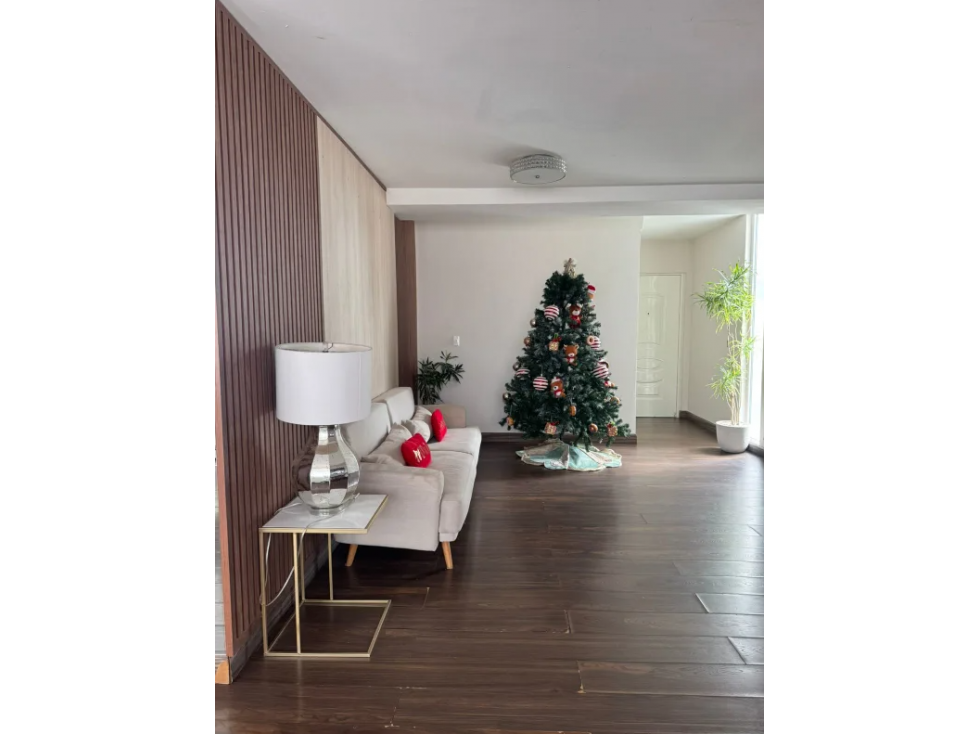 Se Alquila Apartamento Amoblado en Paitilla — foto 2