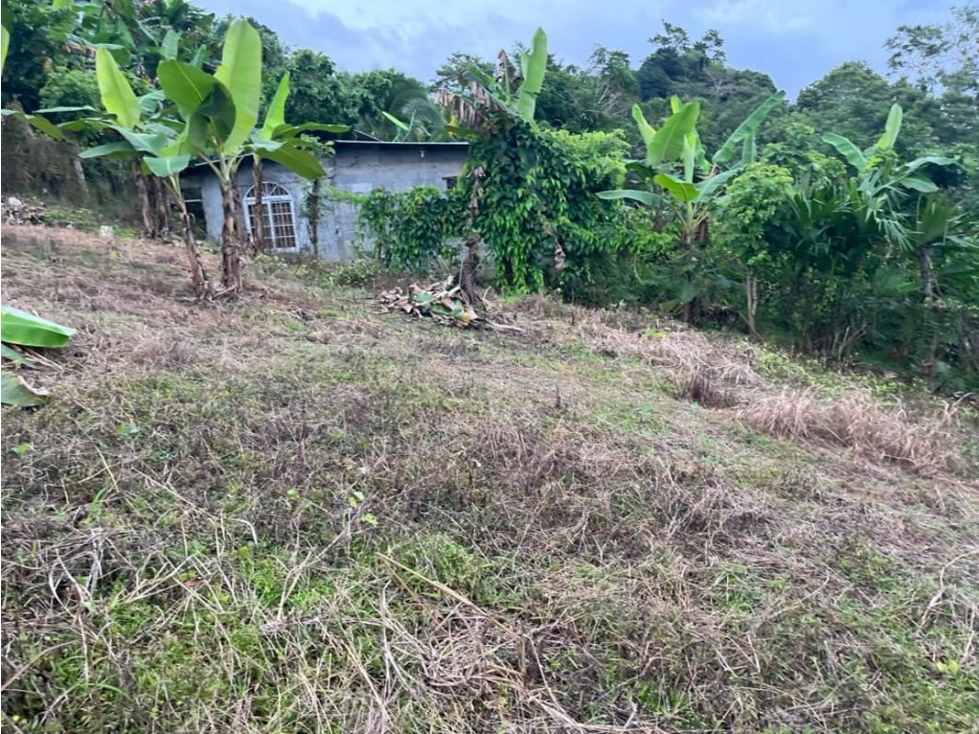 Se Vende Terreno en Cerro Azul - 4