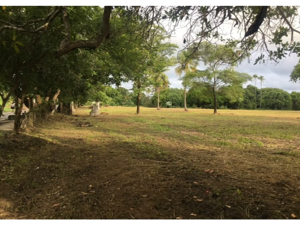 Se vende terreno plano de 27,470 m² en Punta Barco Viejo, San Carlos — foto 5
