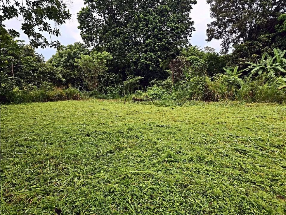 Venta de Terreno Plano en Coloncito-Chame, Panamá Oeste - 6