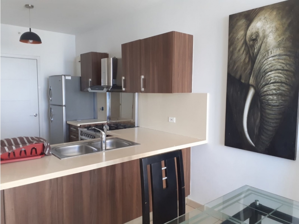 SE VENDE APARTAMENTO EN PUNTA PACIFICA FS 119 — foto 4