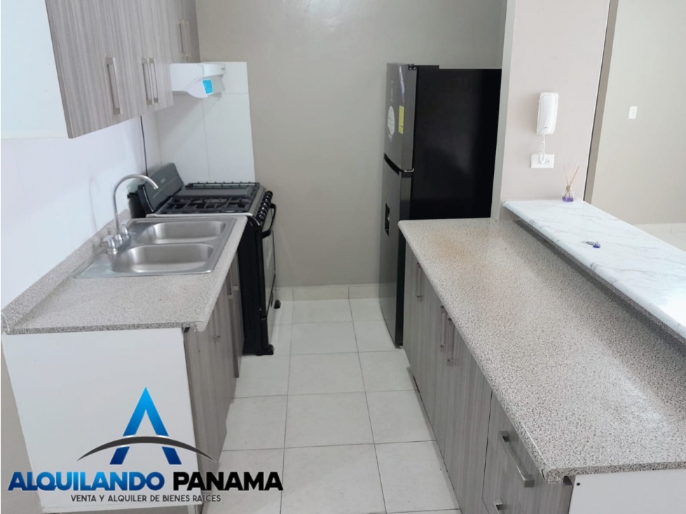 ALQUILER DE APARTAMENTO EN PUEBLO NUEVO - 5