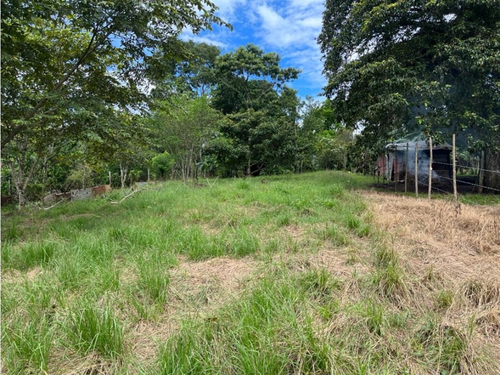 Se Vende Terreno en Cerro Azul - 5