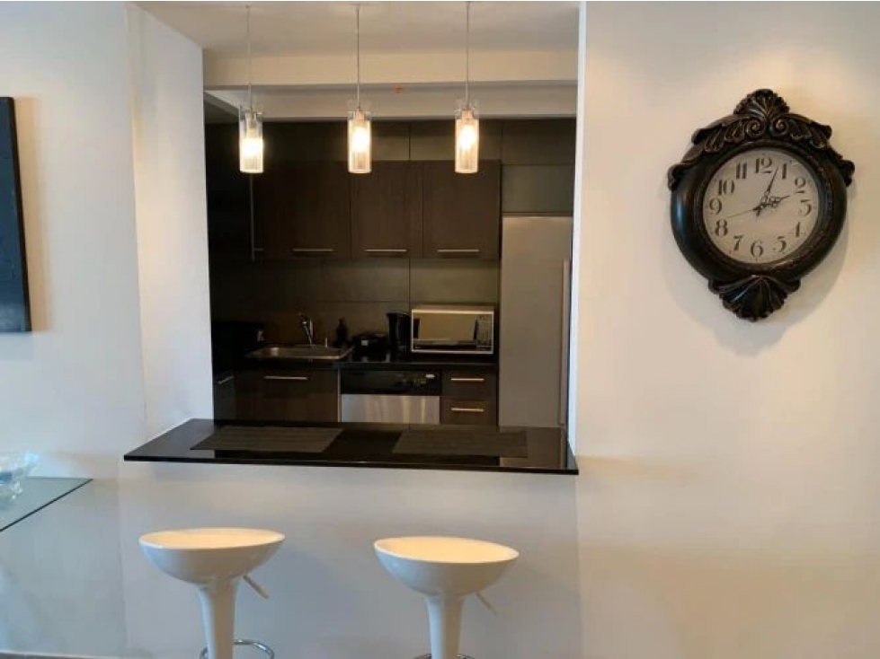Se Alquila Apartamento amoblado en Avenida Balboa $2290 — foto 6