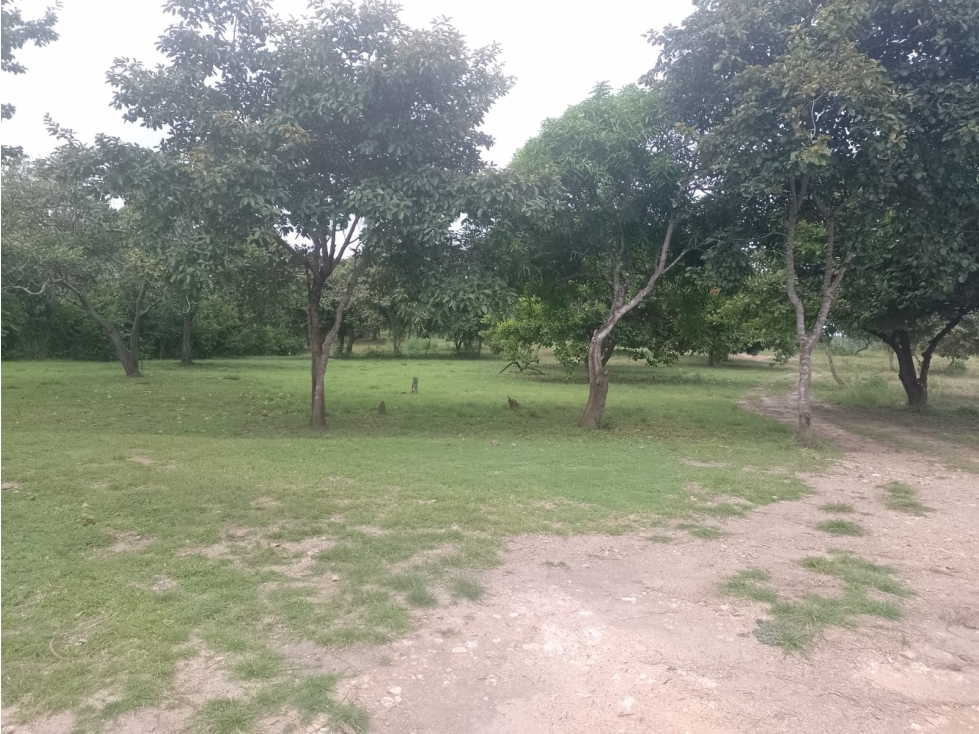 VENDO TERRENO EN COSTA ESPERALDA SAN CARLOS - 3
