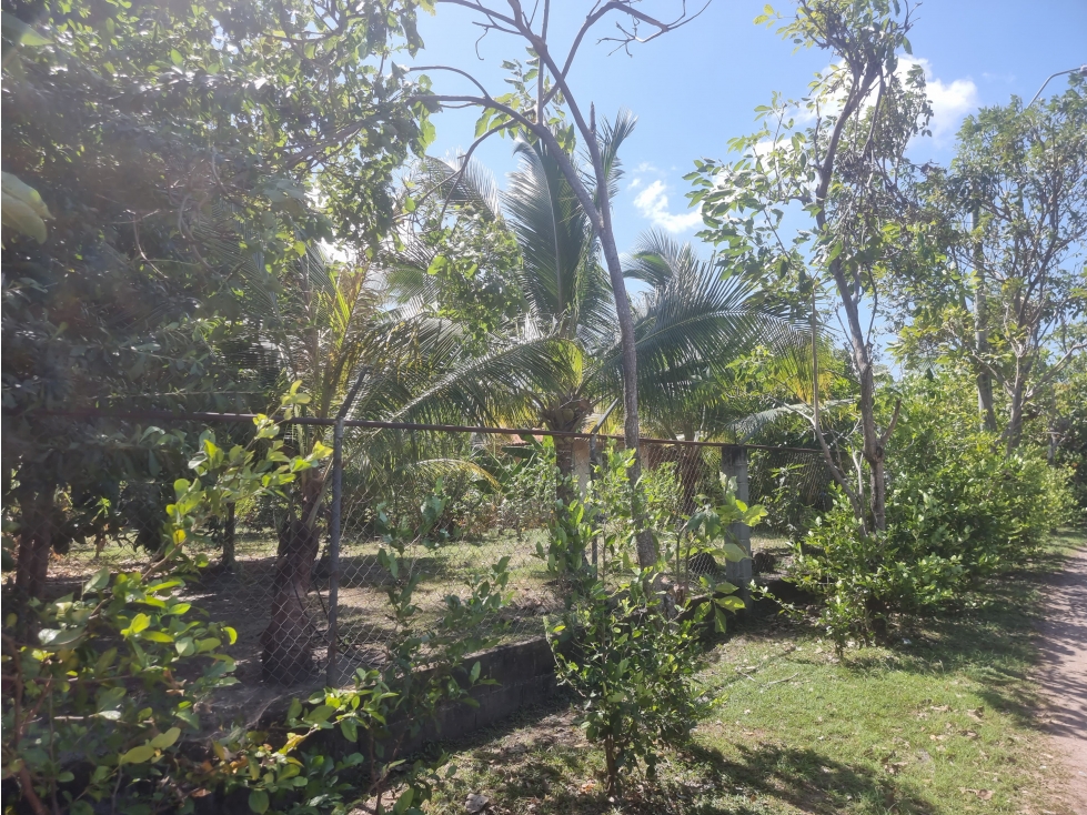 Se vende casa en Gorgona - 2