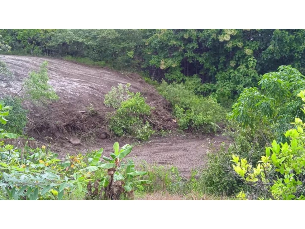En Venta terreno en el Nance de San Carlos, Panamá Oeste — foto 2