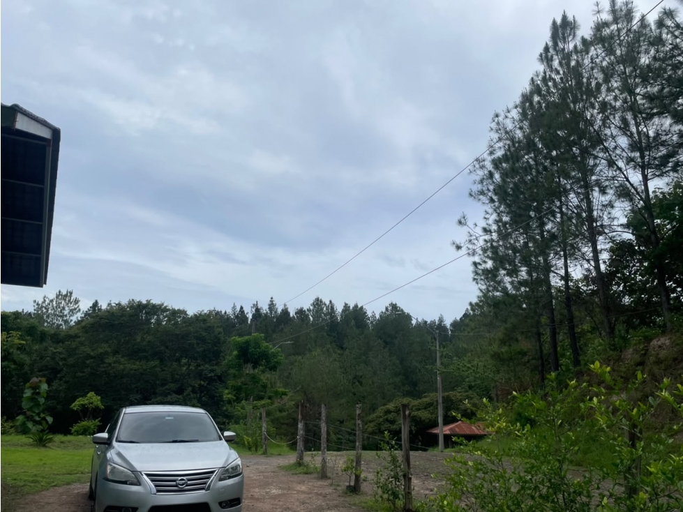En venta propiedad en los Llanitos de San Carlos, Panamá Oeste. - 2