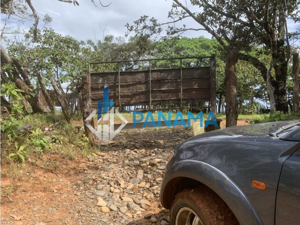 Se Vende Finca Ganadera 165 Hectáreas San Lorenzo USD792,000, - 3