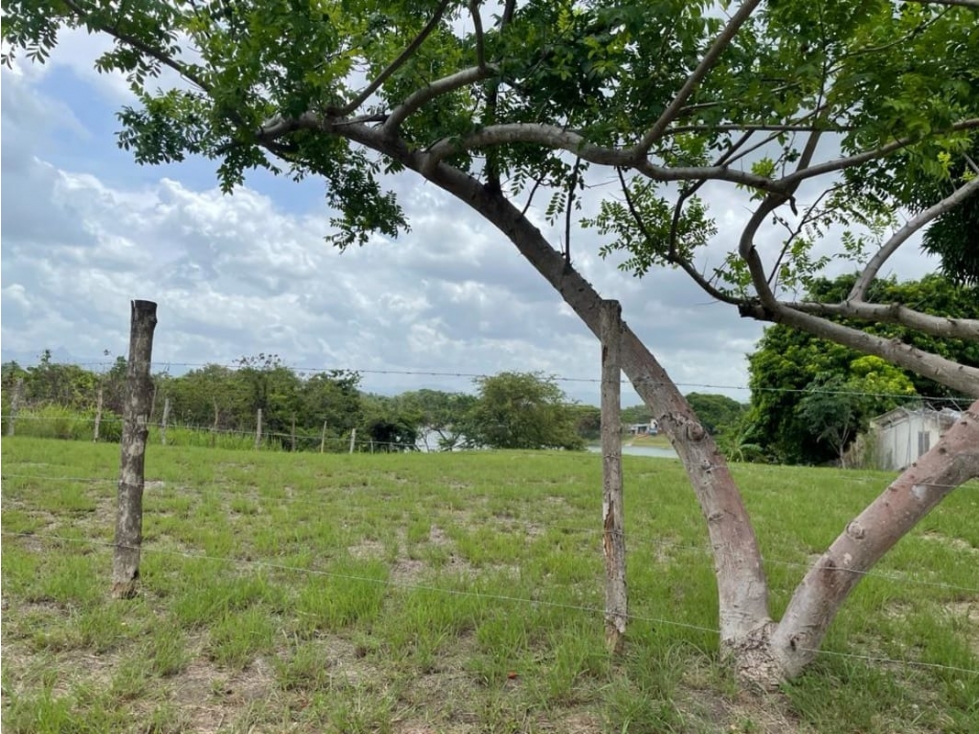 Se Vende Terreno 1,387Mts San carlos USD$100,94 x Mt2 - 4