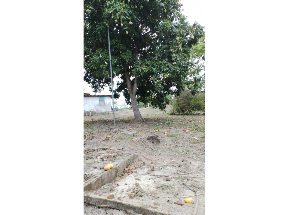 SE VENDE TERRENO CON CASA EN SAN CARLOS $ 95,000 !!!!! - 3