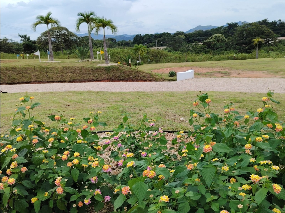 En venta Lotes Campestres en Penonomé, Provincia de Coclé — foto 5