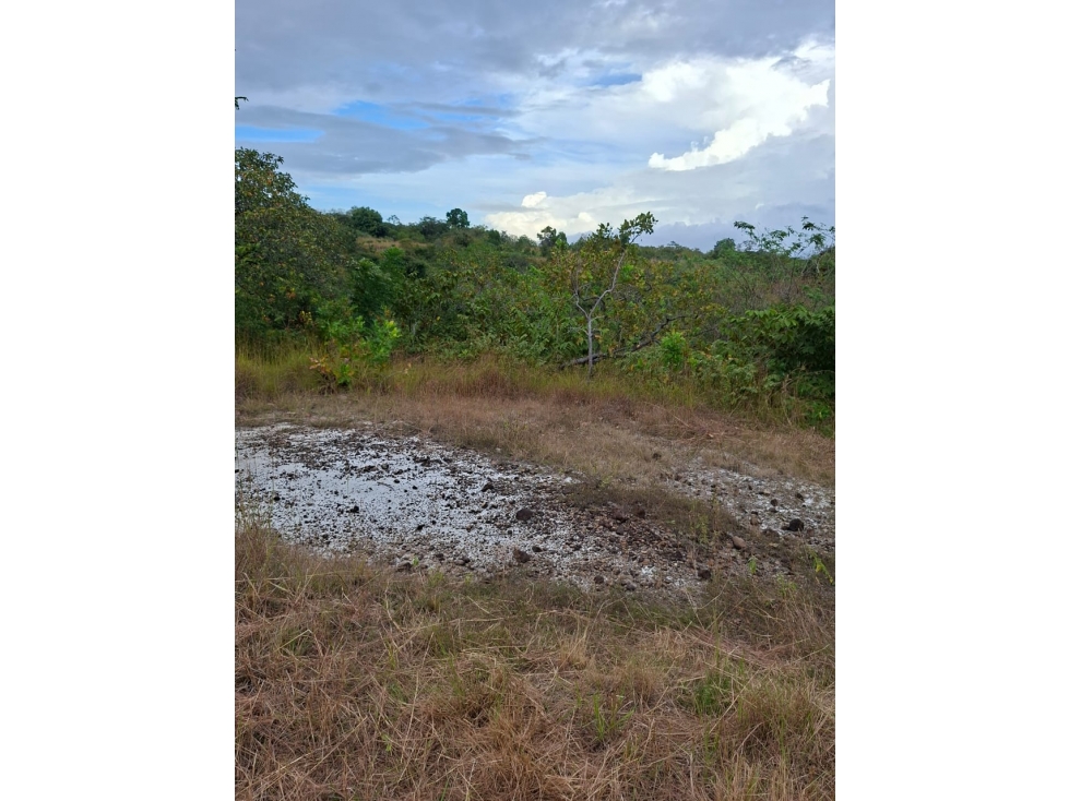 En Venta terreno en el Nance de San Carlos, Panamá Oeste — foto 3