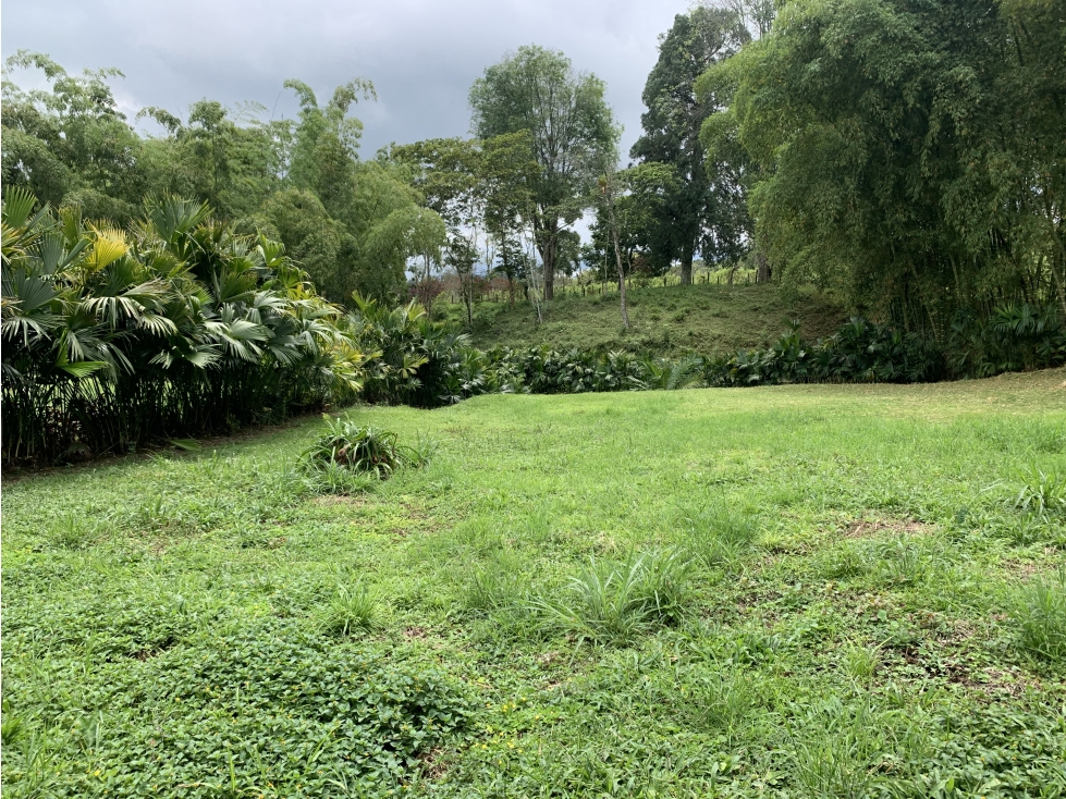 SE VENDE LOTE EN LA VÍA ARMENIA-CIRCASIA — foto 2