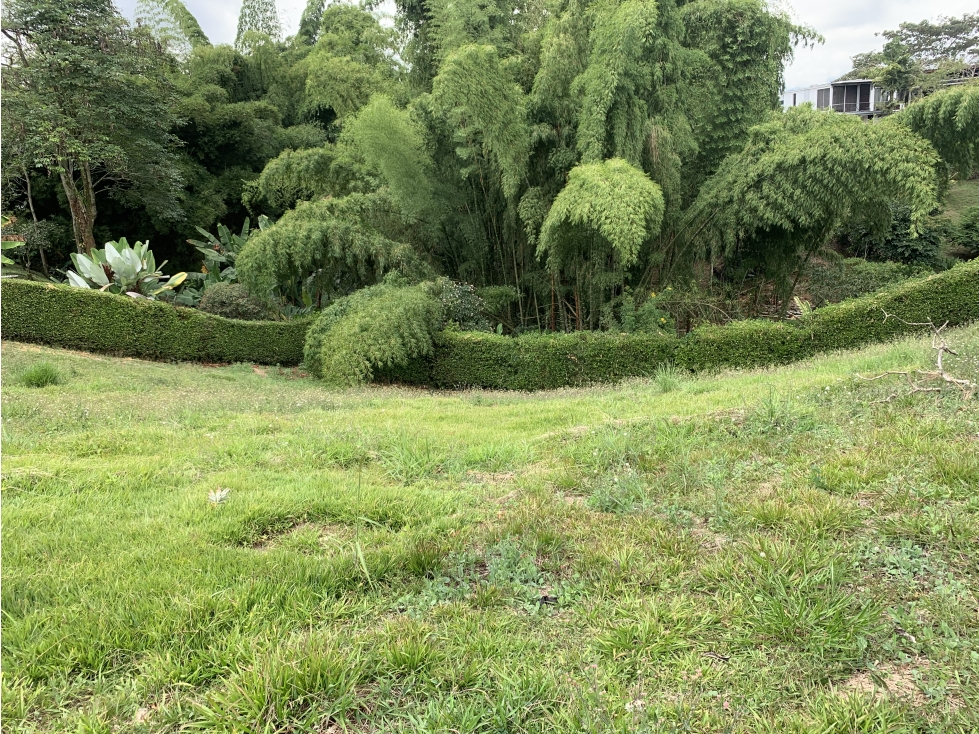SE VENDE LOTE CERCA AL CAIMO — foto 2