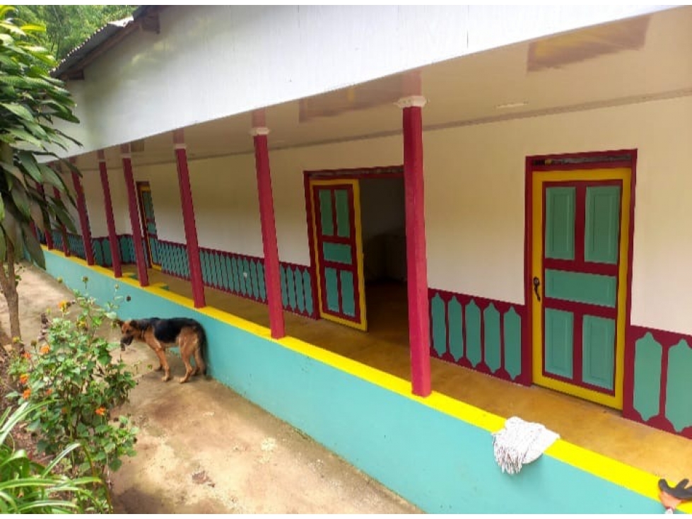 SE VENDE FINCA GANADERA CERCA A BARRAGAN - 2
