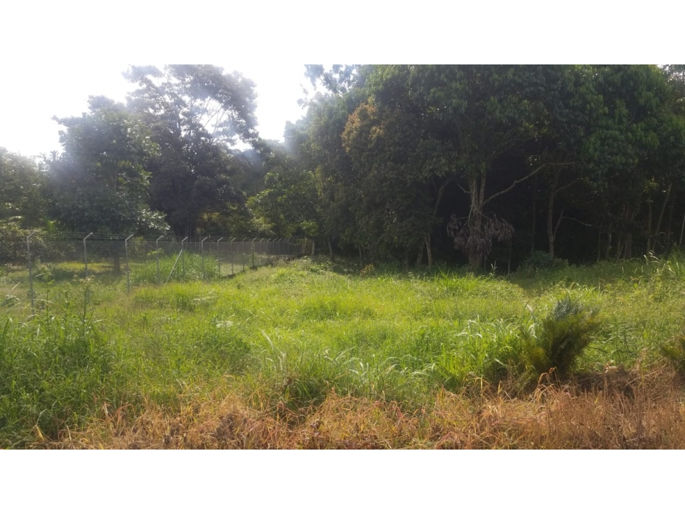 SE VENDE LOTE EN LA VIA CIRCASIA PEREIRA — foto 4