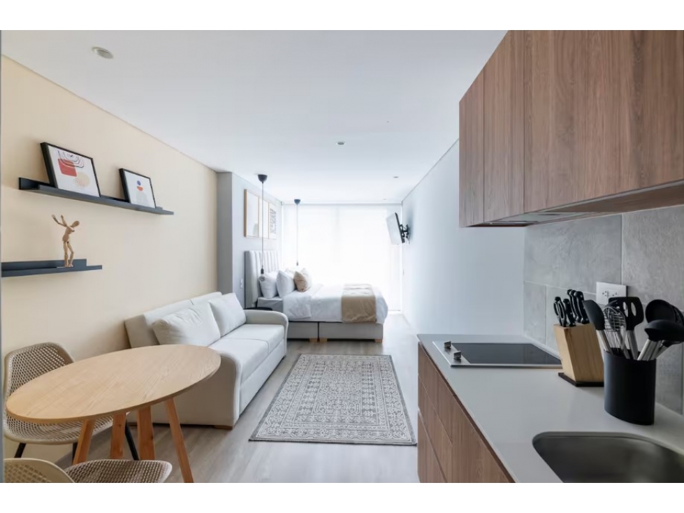 APARTAESTUDIOS EXCLUSIVOS PARA ESTRENAR EN LA ZONA DEL CHICO — foto 3