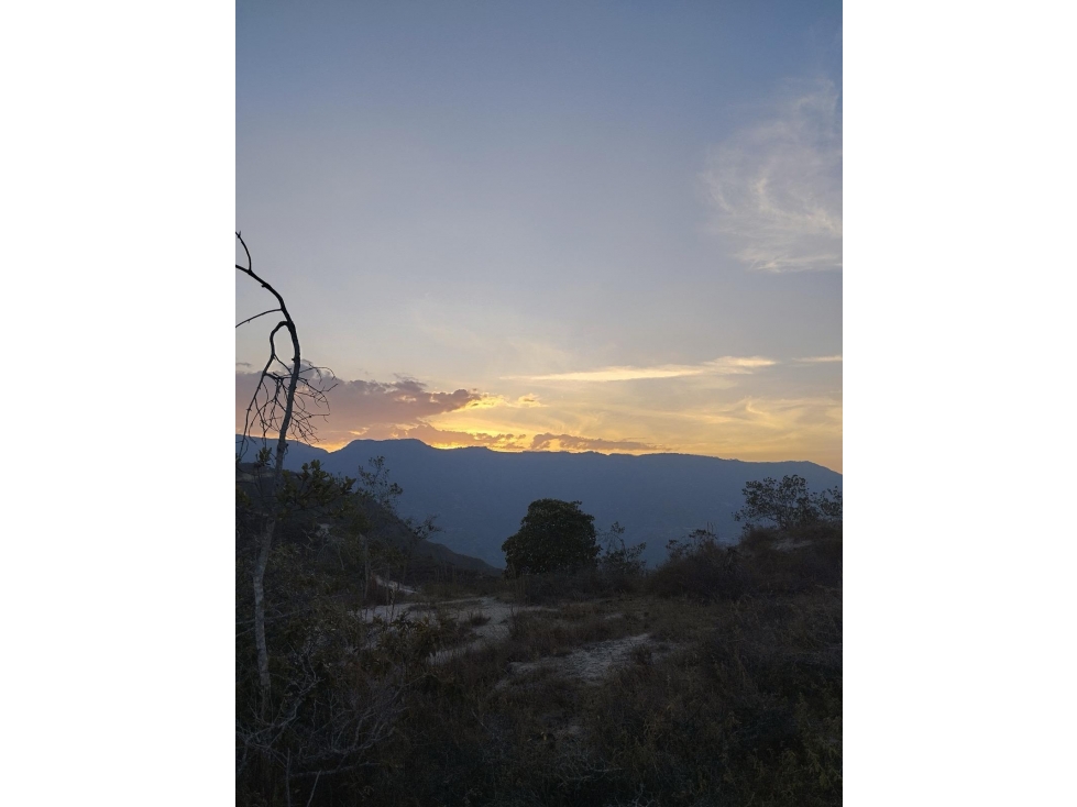 FINCA EN CURITÍ (SANTANDER)- VEREDA COLMENITAS ALTO - 6