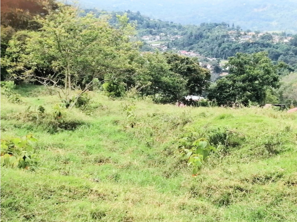 ESPECTACULAR LOTE PARA URBANIZAR EN FUSAGASUGA - 3