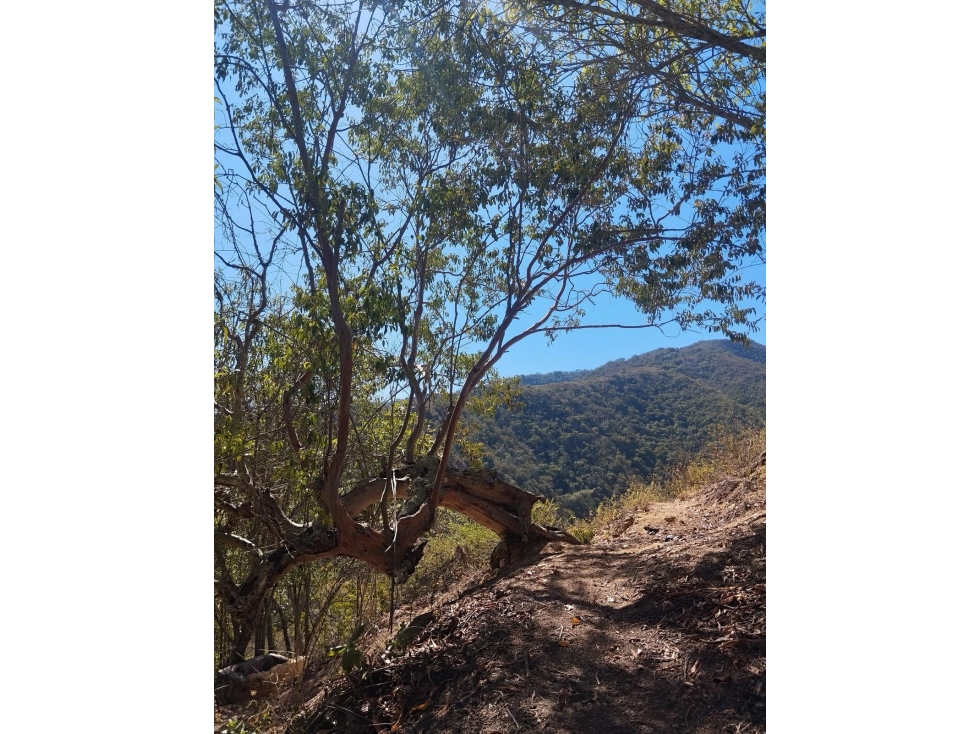 FINCA EN CURITÍ (SANTANDER)- VEREDA COLMENITAS ALTO - 2