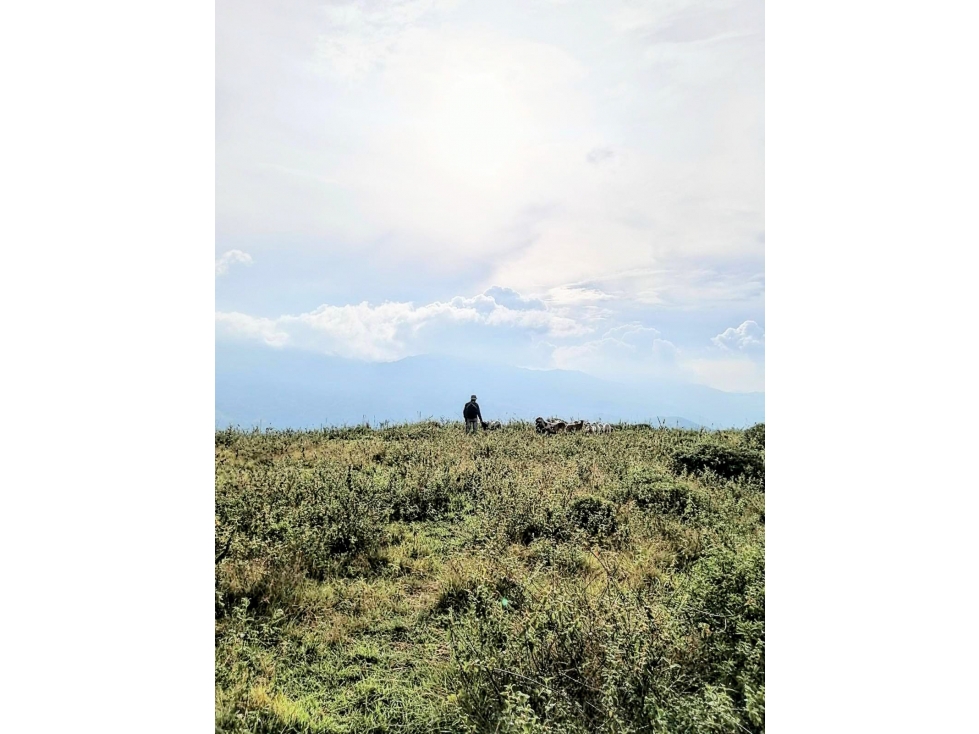 FINCA EN CURITÍ (SANTANDER)- VEREDA COLMENITAS ALTO - 4