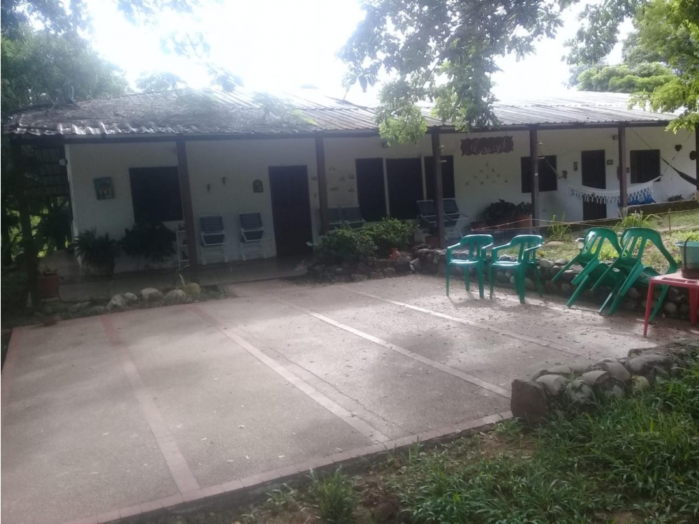 CARMEN DE APICALA- FINCA DE USO MIXTO (AGROPECUARIO Y VIVIENDA) - 4
