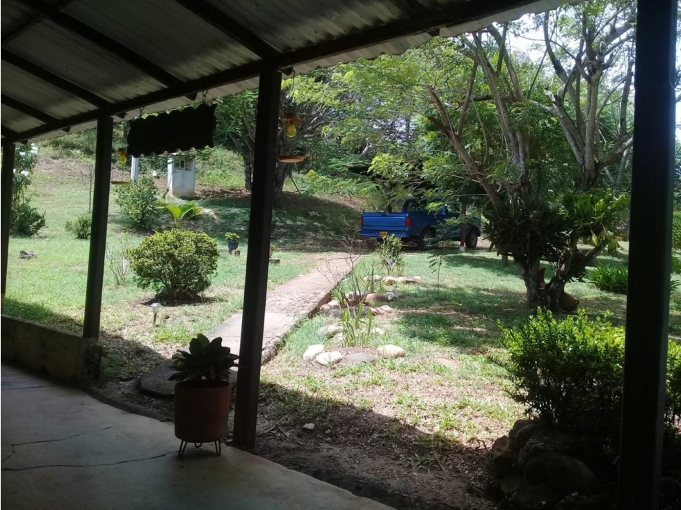 CARMEN DE APICALA- FINCA DE USO MIXTO (AGROPECUARIO Y VIVIENDA) - 6