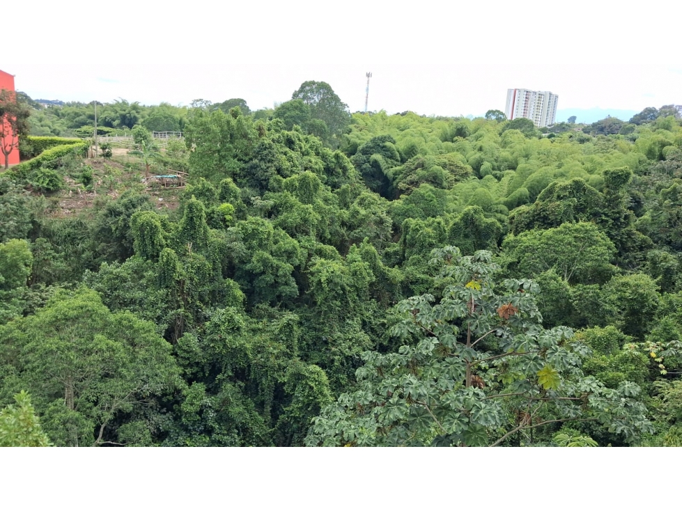 SE VENDE APARTAMENTO AL OCCIDENTE DE ARMENIA — foto 5