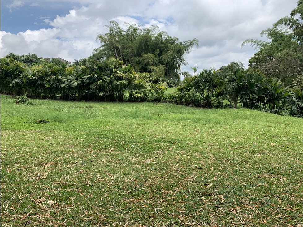 SE VENDE LOTE EN LA VÍA ARMENIA-CIRCASIA — foto 3