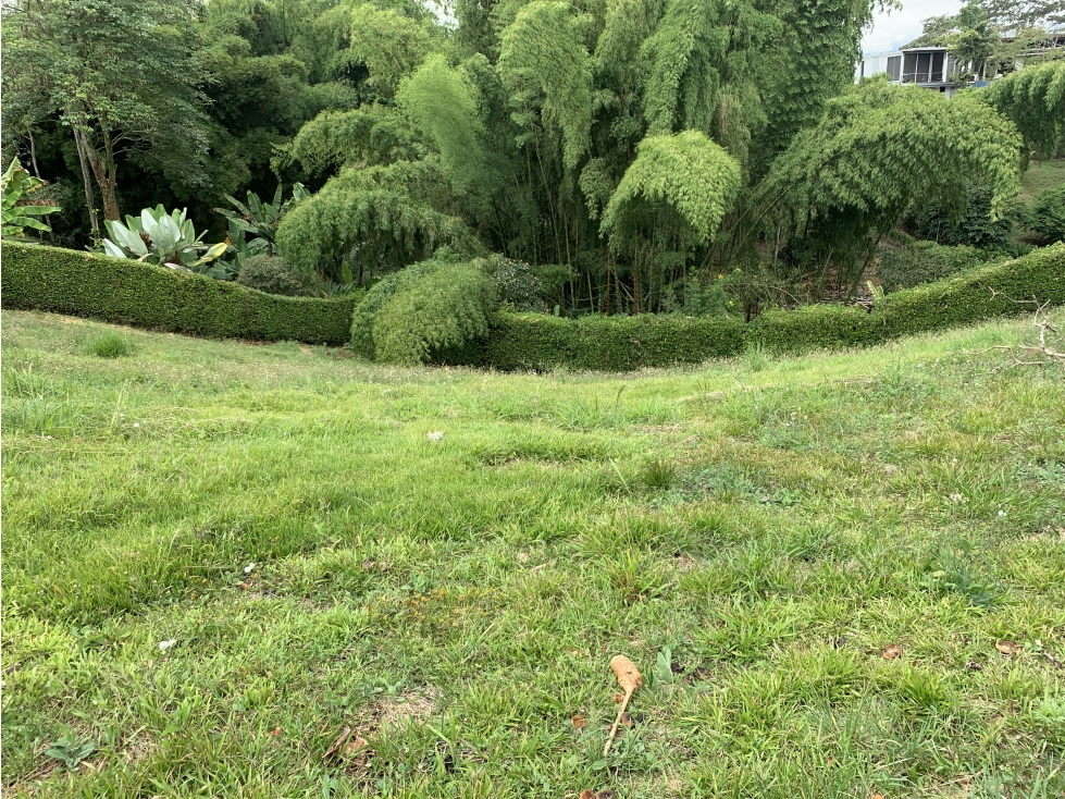 SE VENDE LOTE CERCA AL CAIMO — foto 3