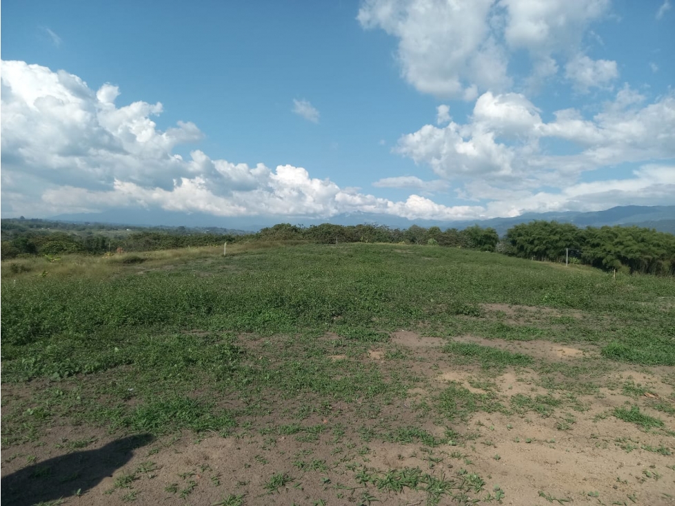 SE VENDEN LOTES SECTOR HOJAS ANCHAS — foto 4