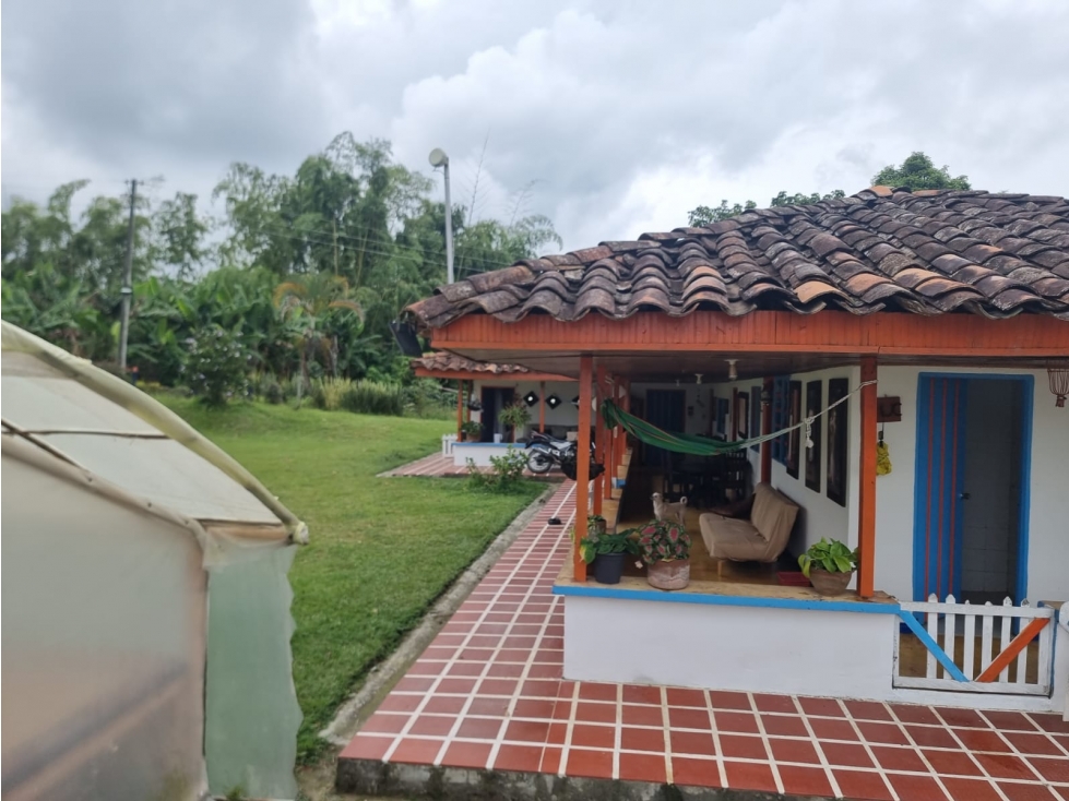 SE VENDE FINCA EN FILANDIA EN VIA ULLOA FILANDIA - 5