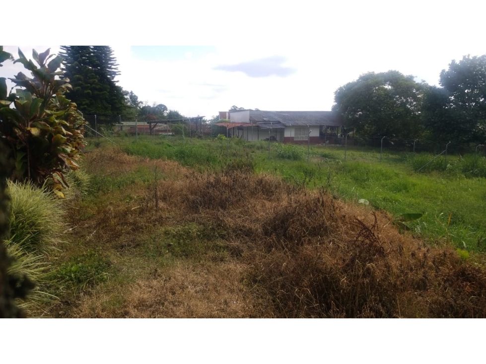 SE VENDE LOTE EN LA VIA CIRCASIA PEREIRA — foto 2