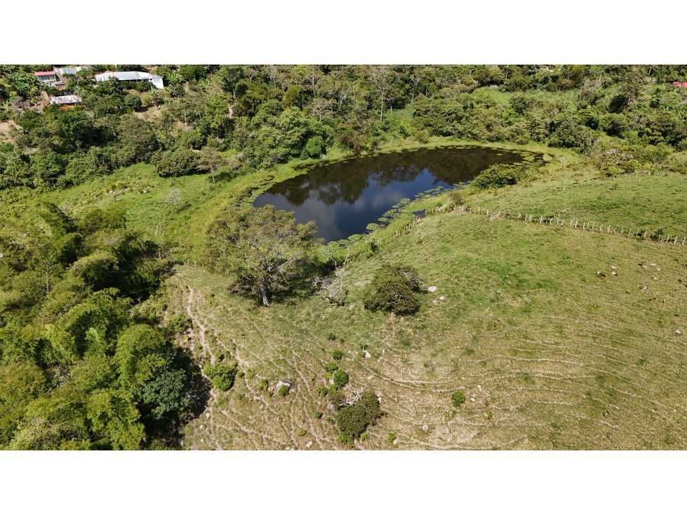 Hacienda Ganadera y Cafetera en venta de 74 Fanegadas - 3