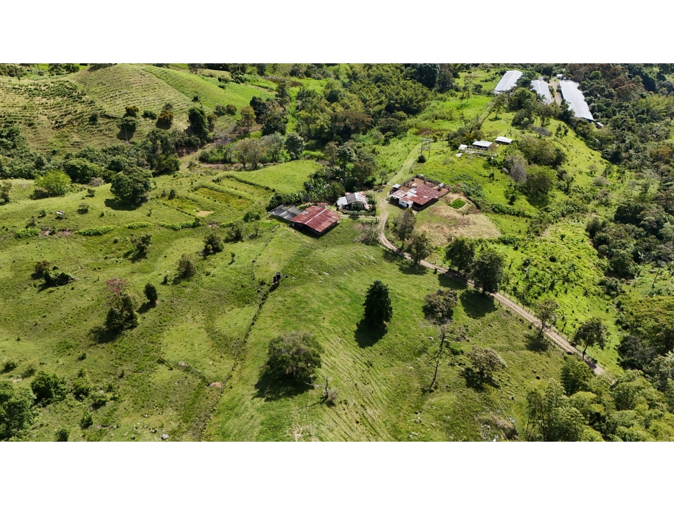 Hacienda Ganadera y Cafetera en venta de 74 Fanegadas - 4