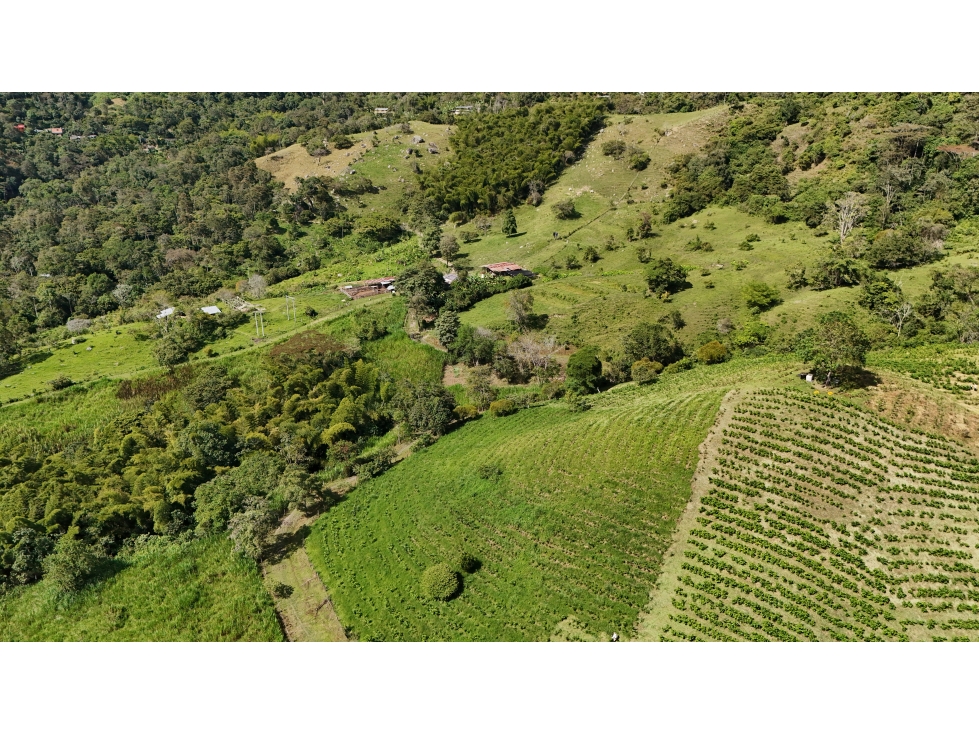 Hacienda Ganadera y Cafetera en venta de 74 Fanegadas - 5