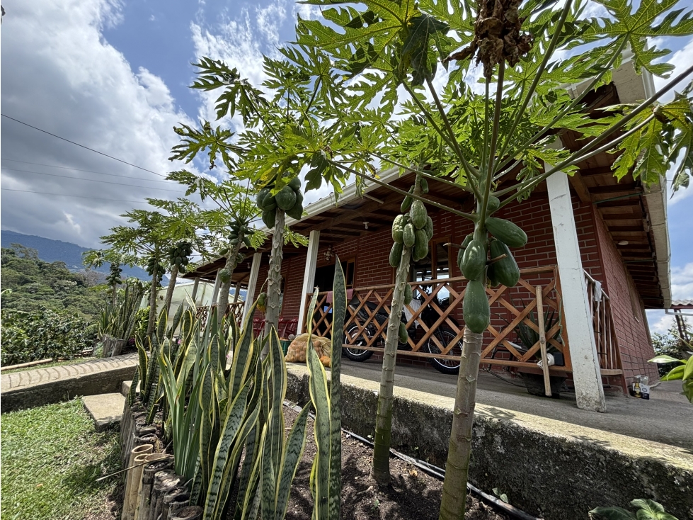 FINCA EN VENTA DE 4000 M2 EN CACHIPAY - 3