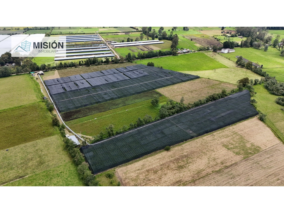 Venta Finca- Facatativá Vereda la Selva - 2