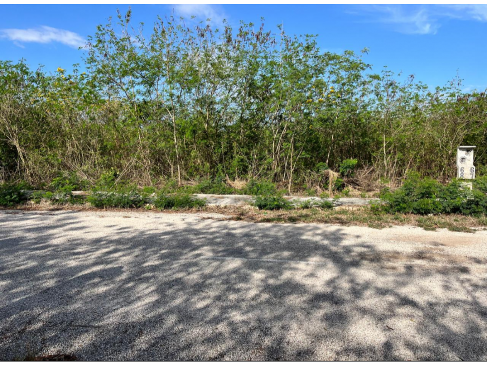 VENTA DE TERRENO EN ALGEA — foto 6
