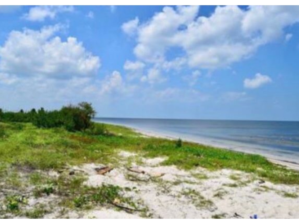TERRENO EN VENTA PLAYA CHABIHAU — foto 5
